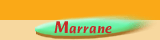 Marrane